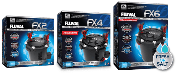 FXseries Filial Aquatics