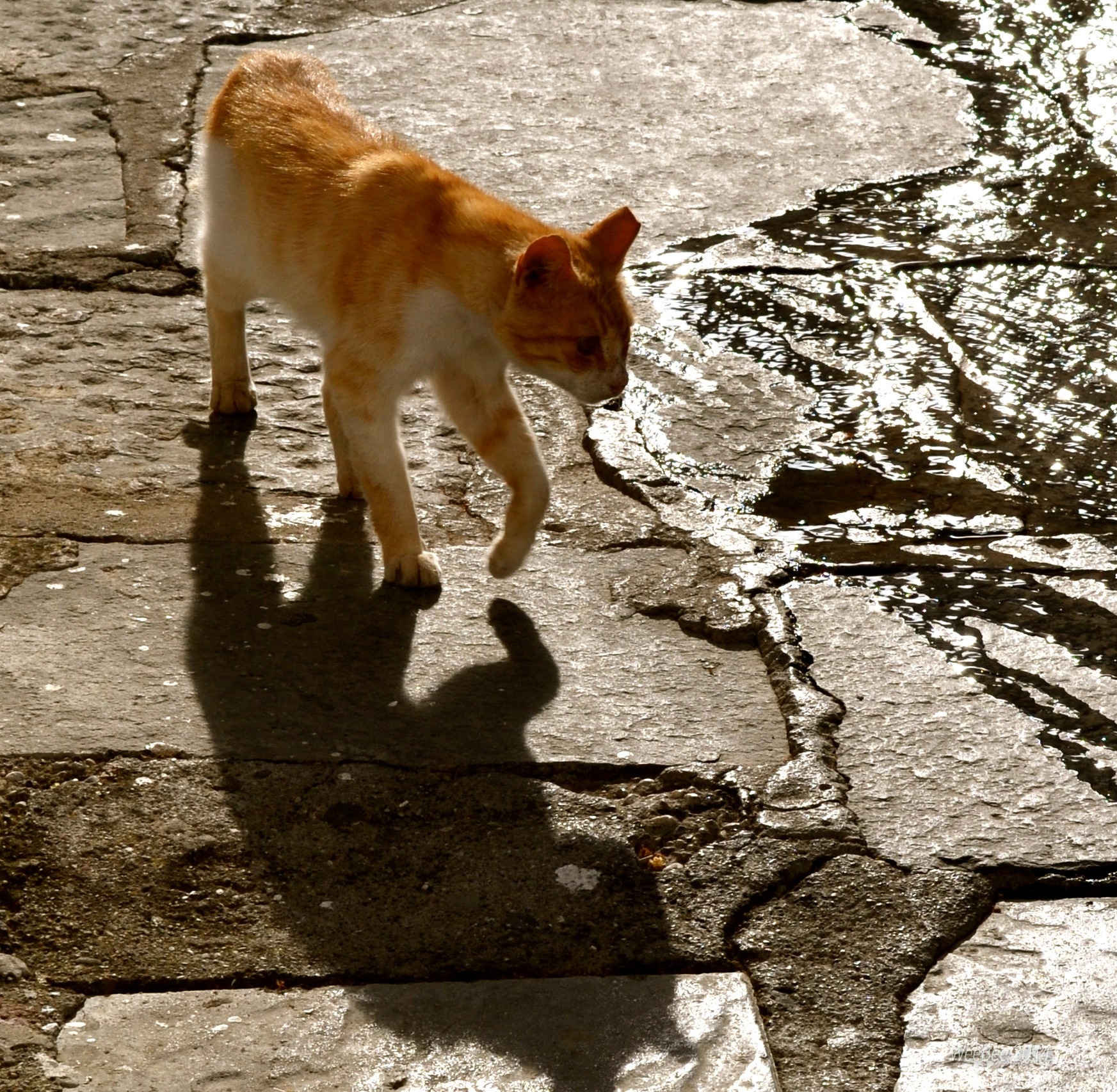 Greece-265