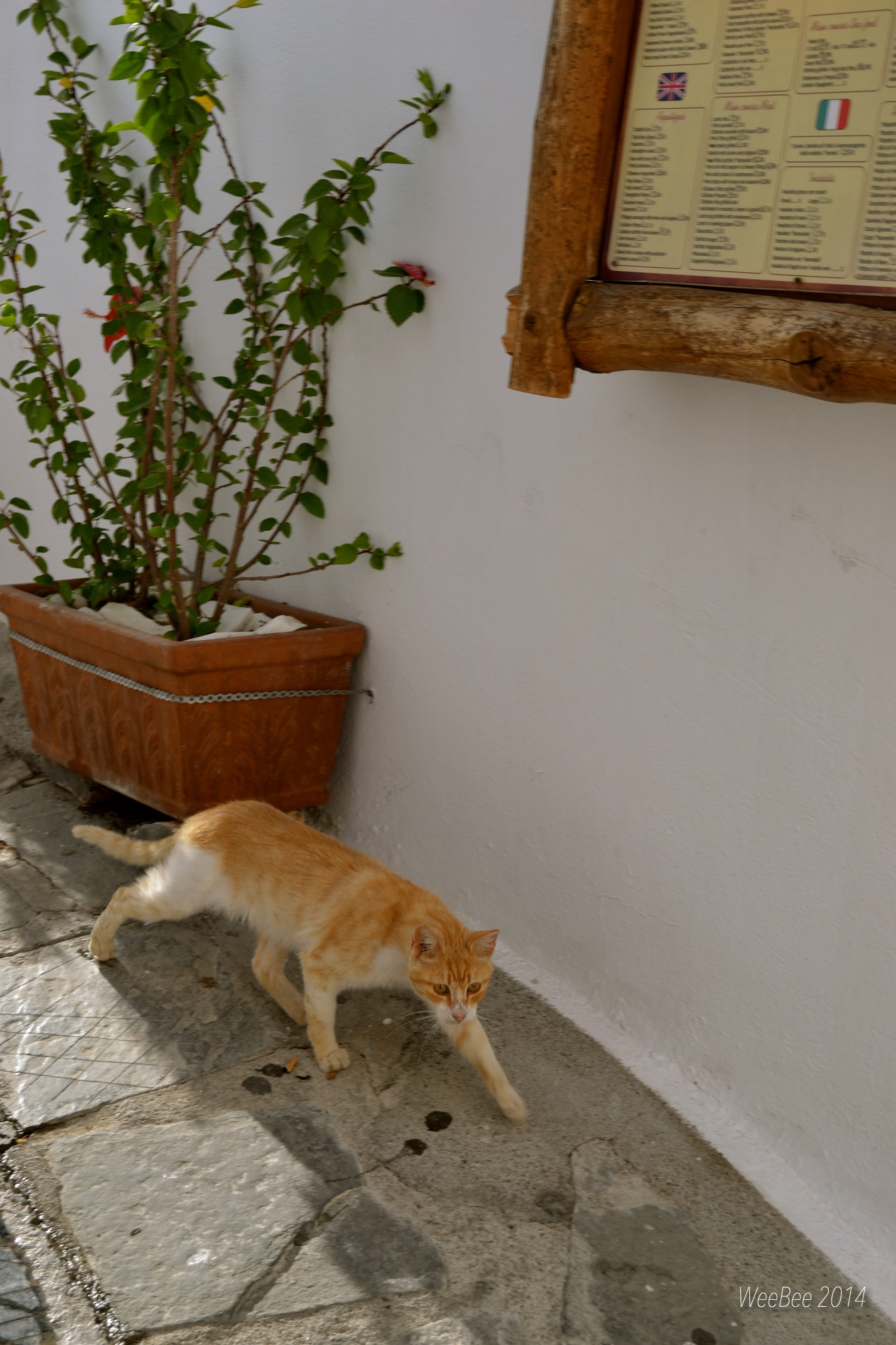 Greece-267