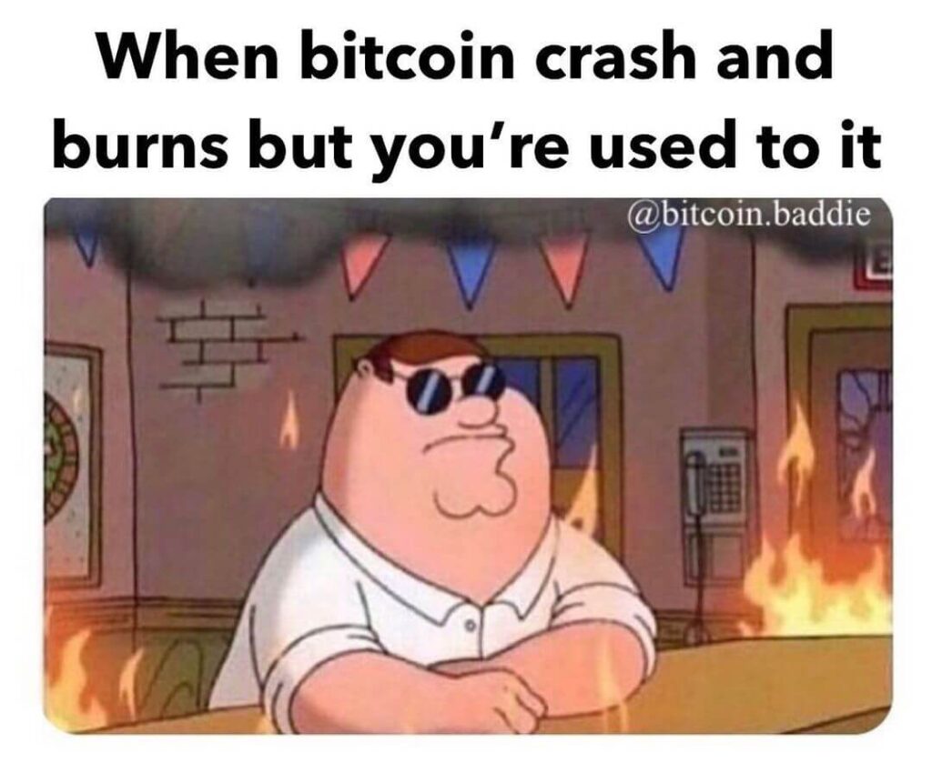Overall the cryptocurrency market was down by around 5 percent over the last day on tuesday, bringing the global market cap to around $1.3 trillion. 40 Funniest Bitcoin Memes To Share With Your Friends Finance Illustrated