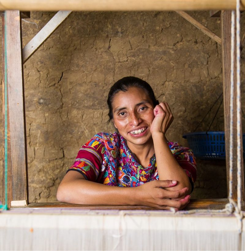 Finca Pdf - Premium Minimal Illustration Gallery - HD