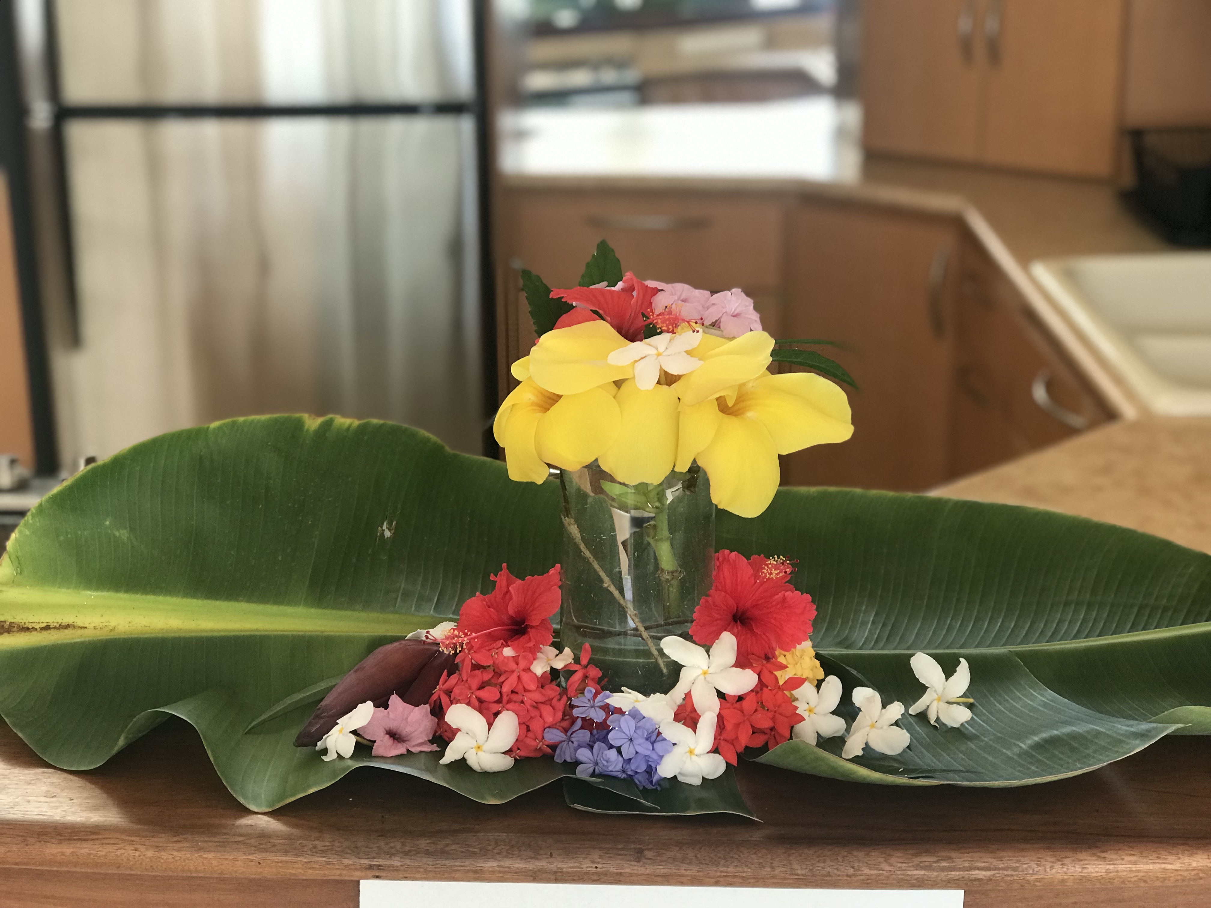 There is always fresh flowers in Puerto Rico to add color to your vacation