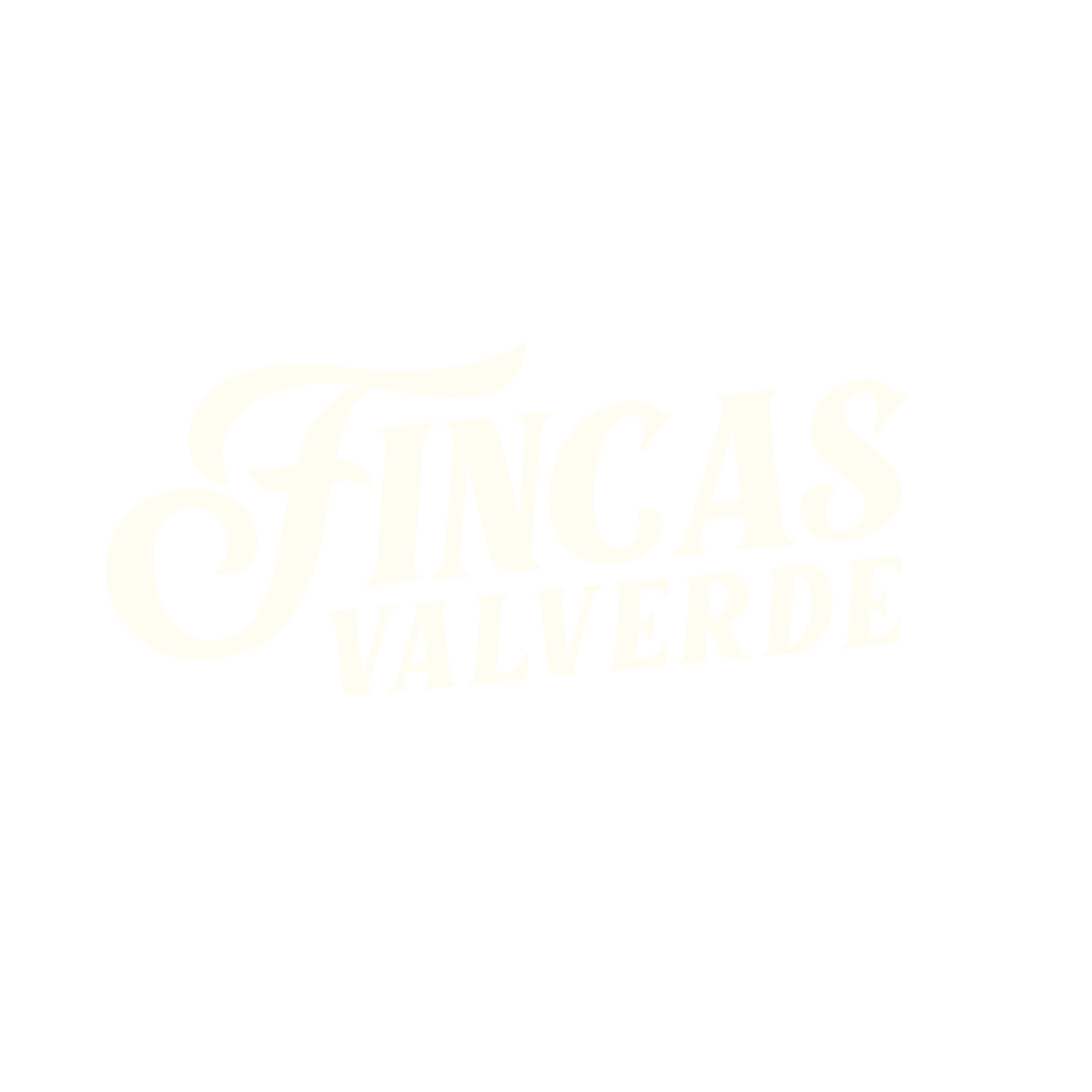 Fincas Valverde Bolivian Specialty Coffee