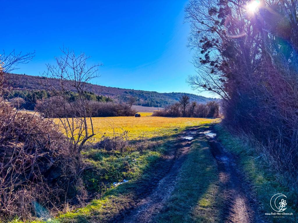 Kleiner Feldweg