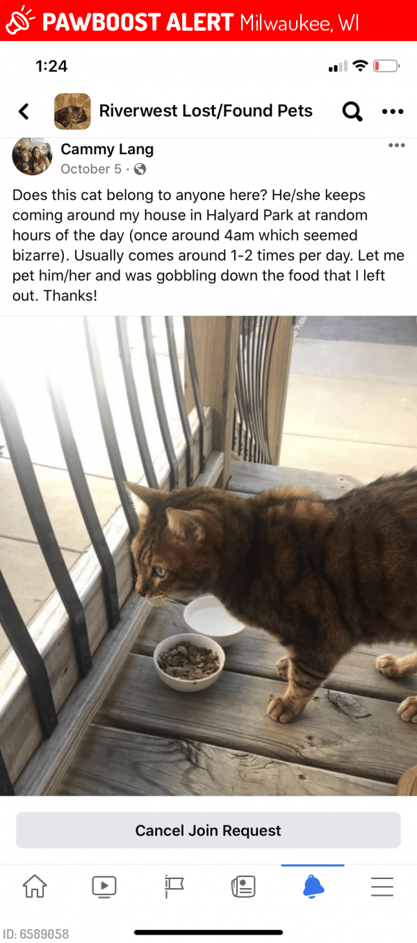 craigslist milwaukee wi pets on craigslist milwaukee lost pets