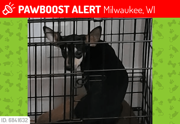 craigslist milwaukee wi pets on craigslist milwaukee lost pets