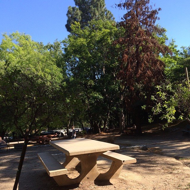 Podcast Picnic (or A Perfect Sunday Afternoon) Finding My Inner Bombshell