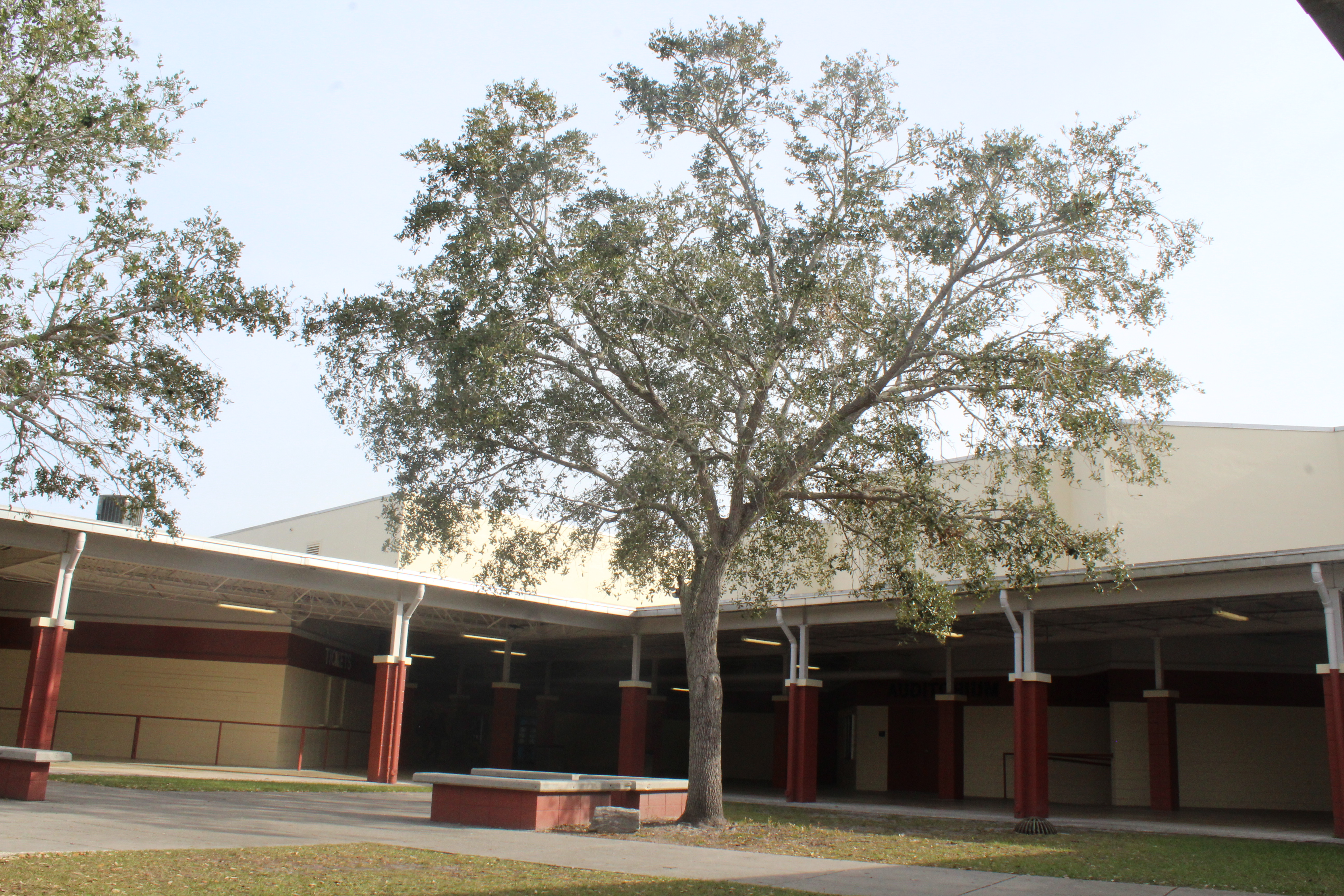Courtyard