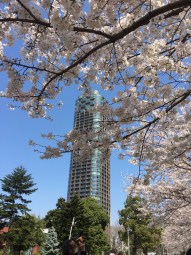 F1B50440-D26B-4654-818F-80E557D75469