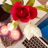 This brings me joy right now