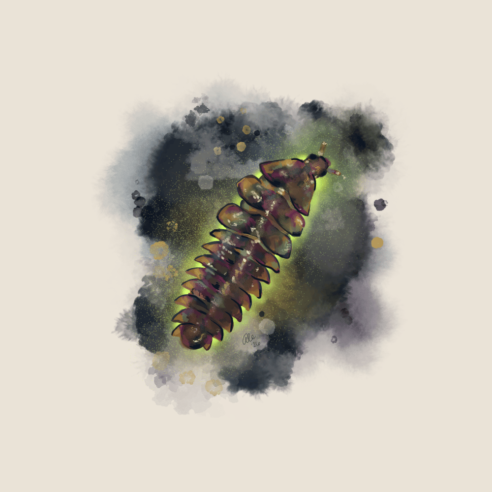 Painted illustration of a firefly larva