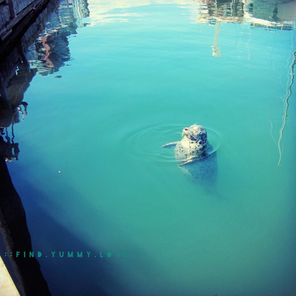 wharf6
