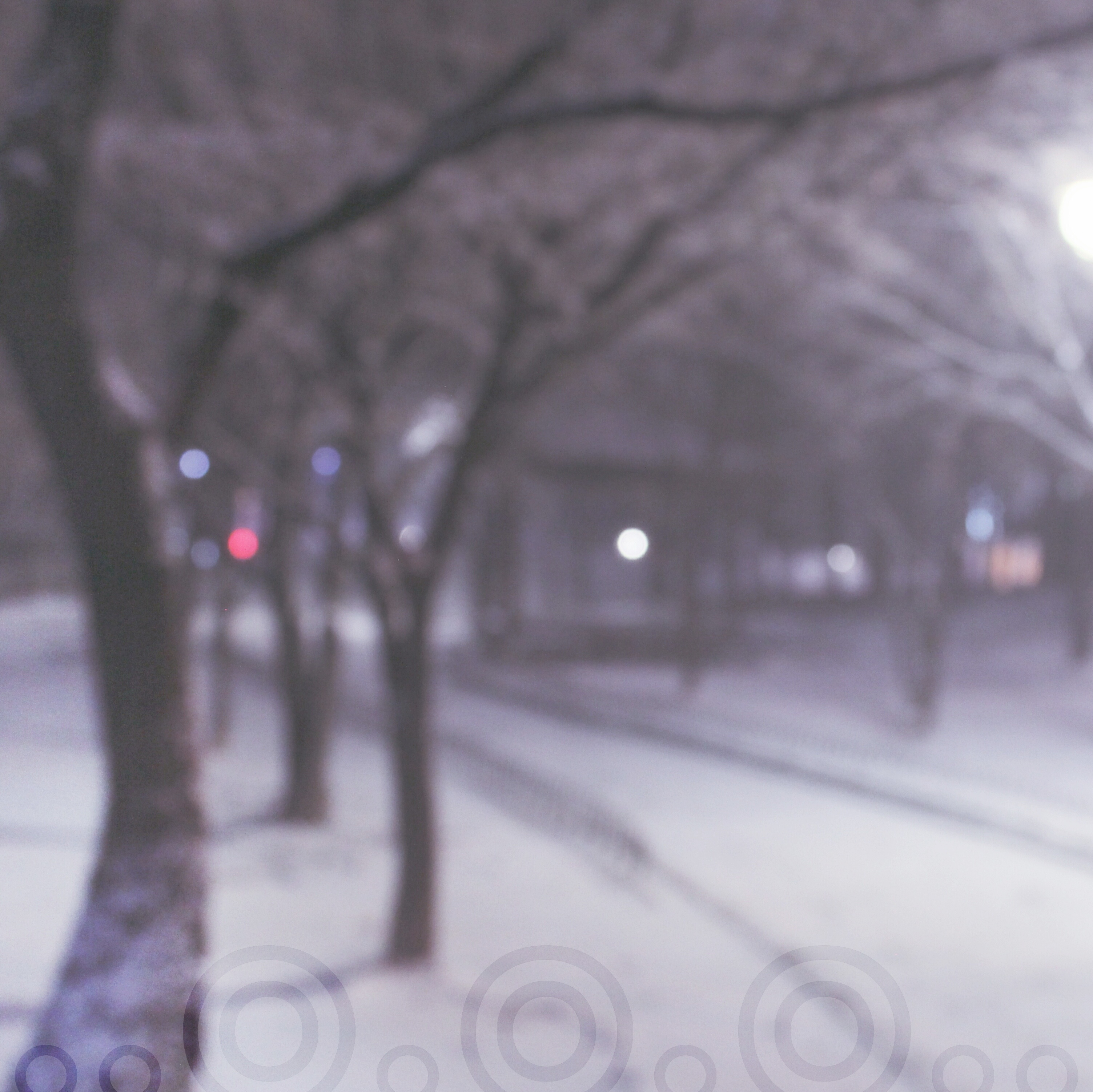 swoll Seoul snow