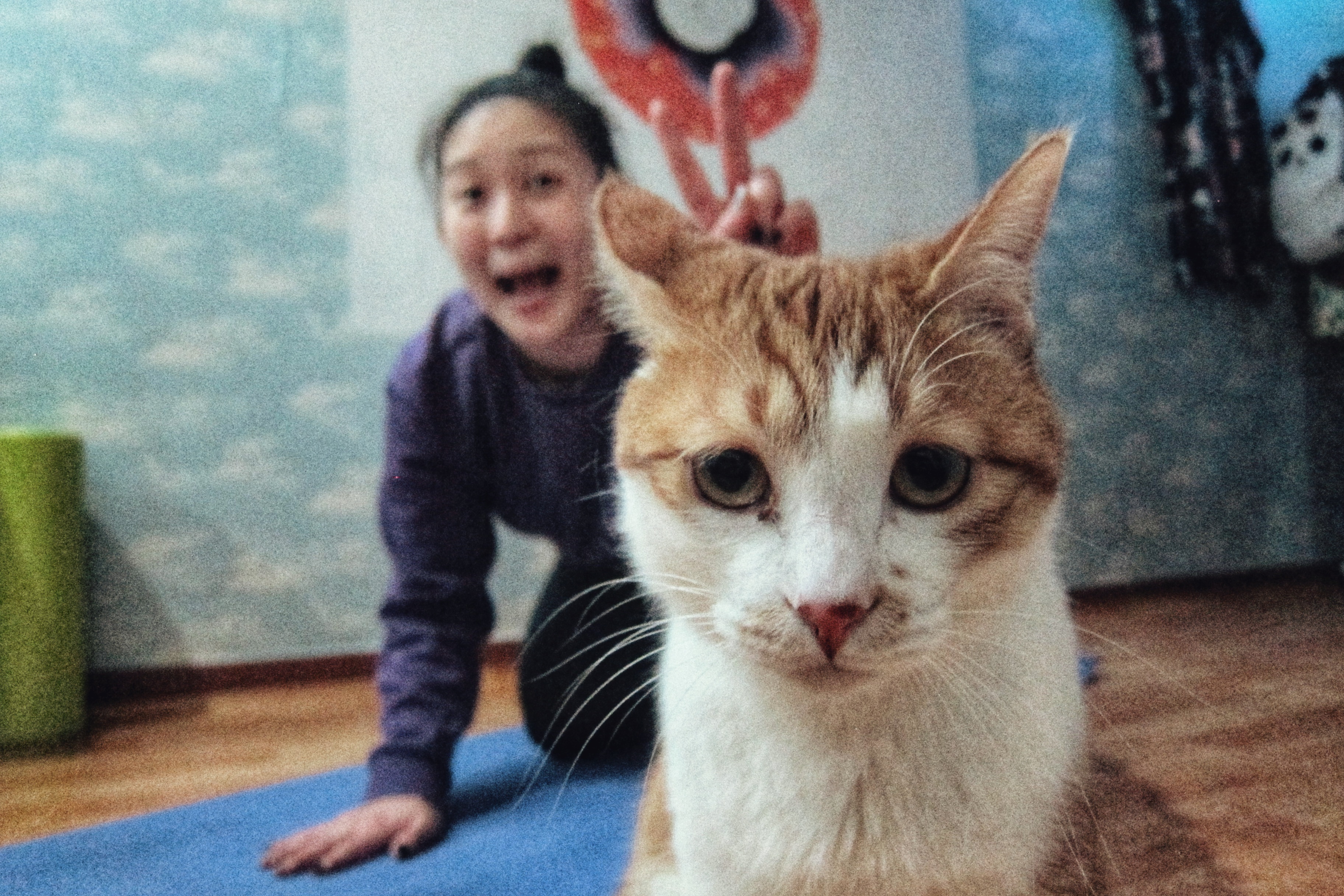 Photobombing the Photobomber