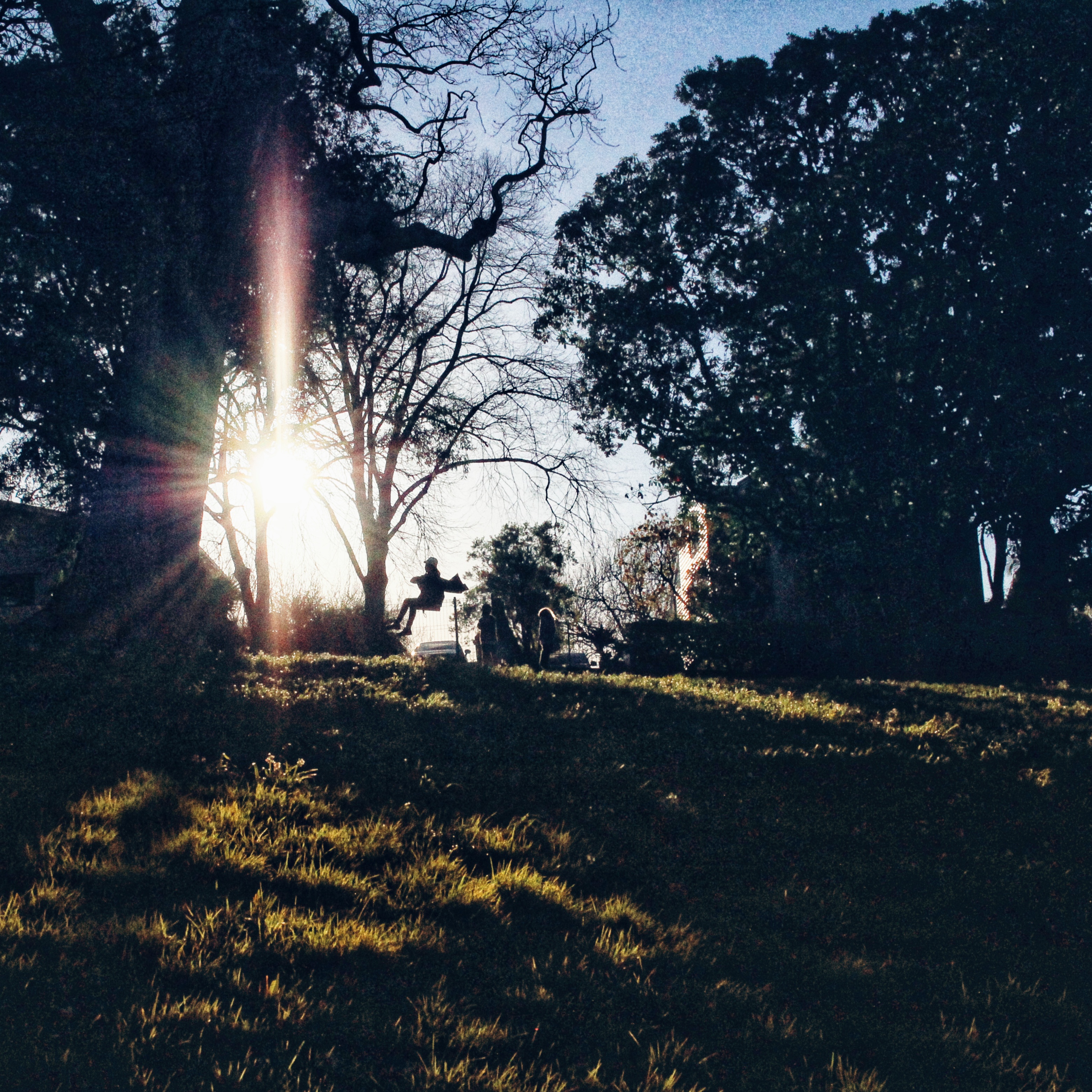 Sunset Swing