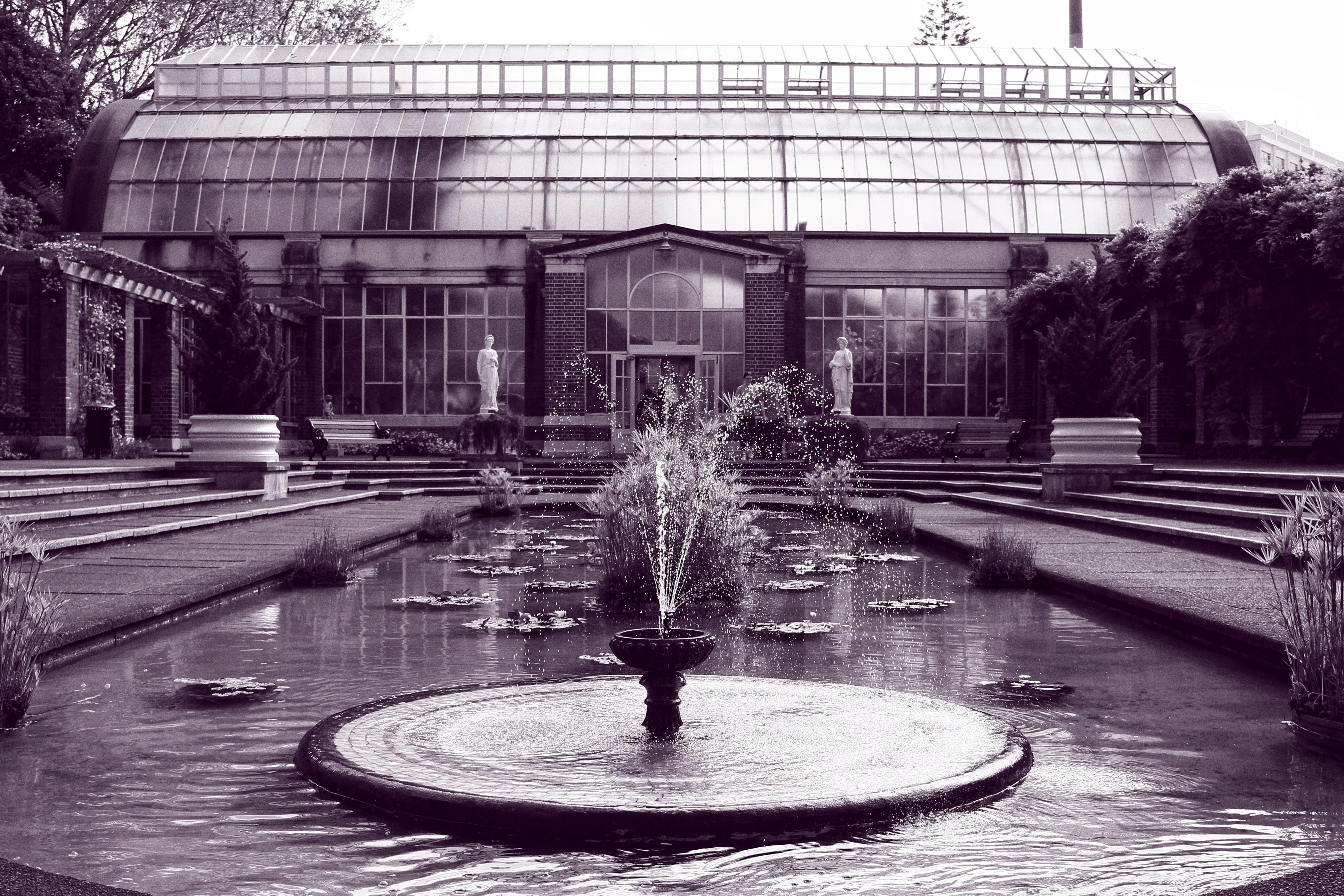 Domain Wintergardens