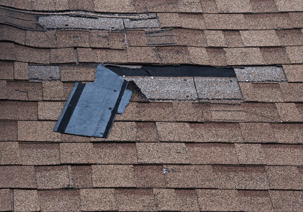 How To Tell If You Need a New Roof: Signs to Look For
