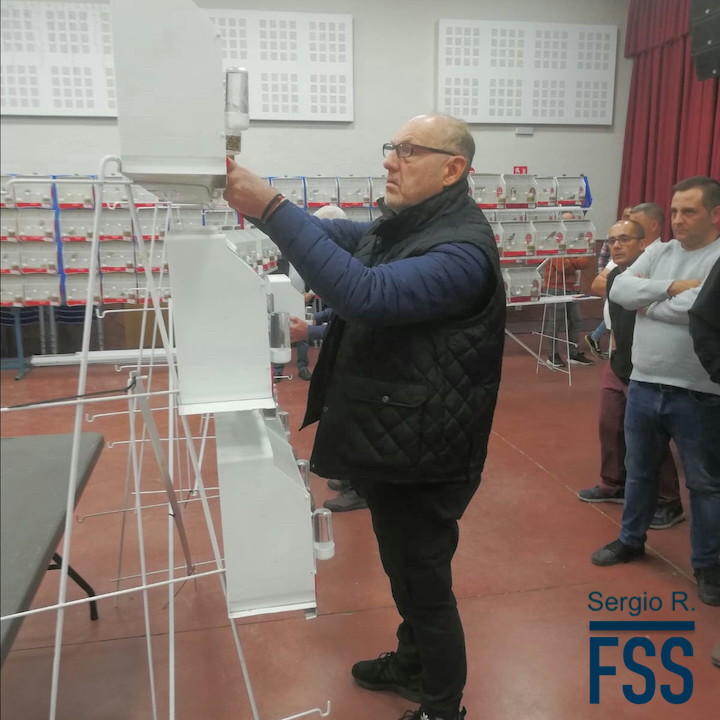 Amigos 2023-Joe judging-FSS