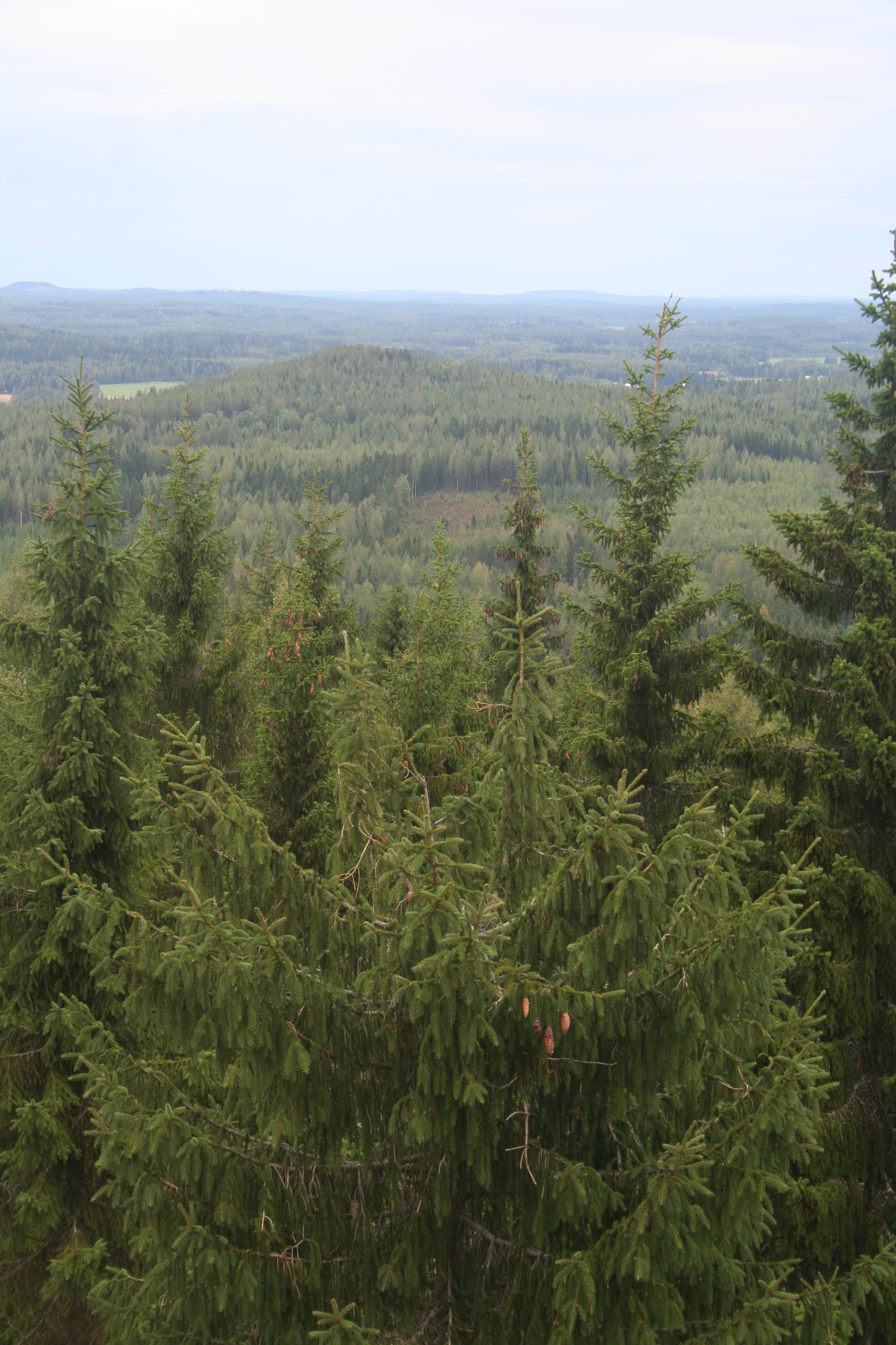 Väisälänmäki