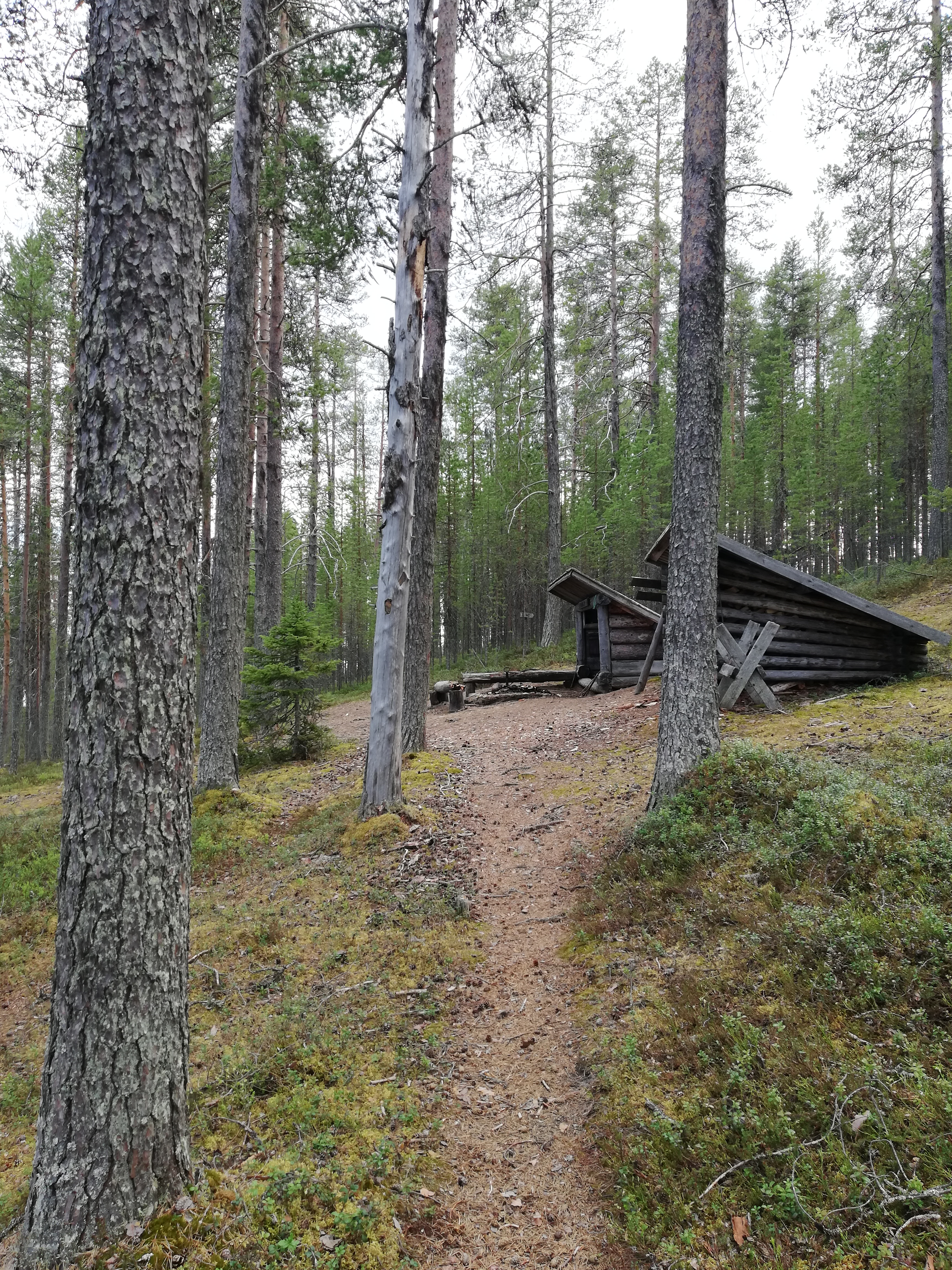 Livojärvi