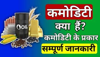 Commodity meaning in Hindi