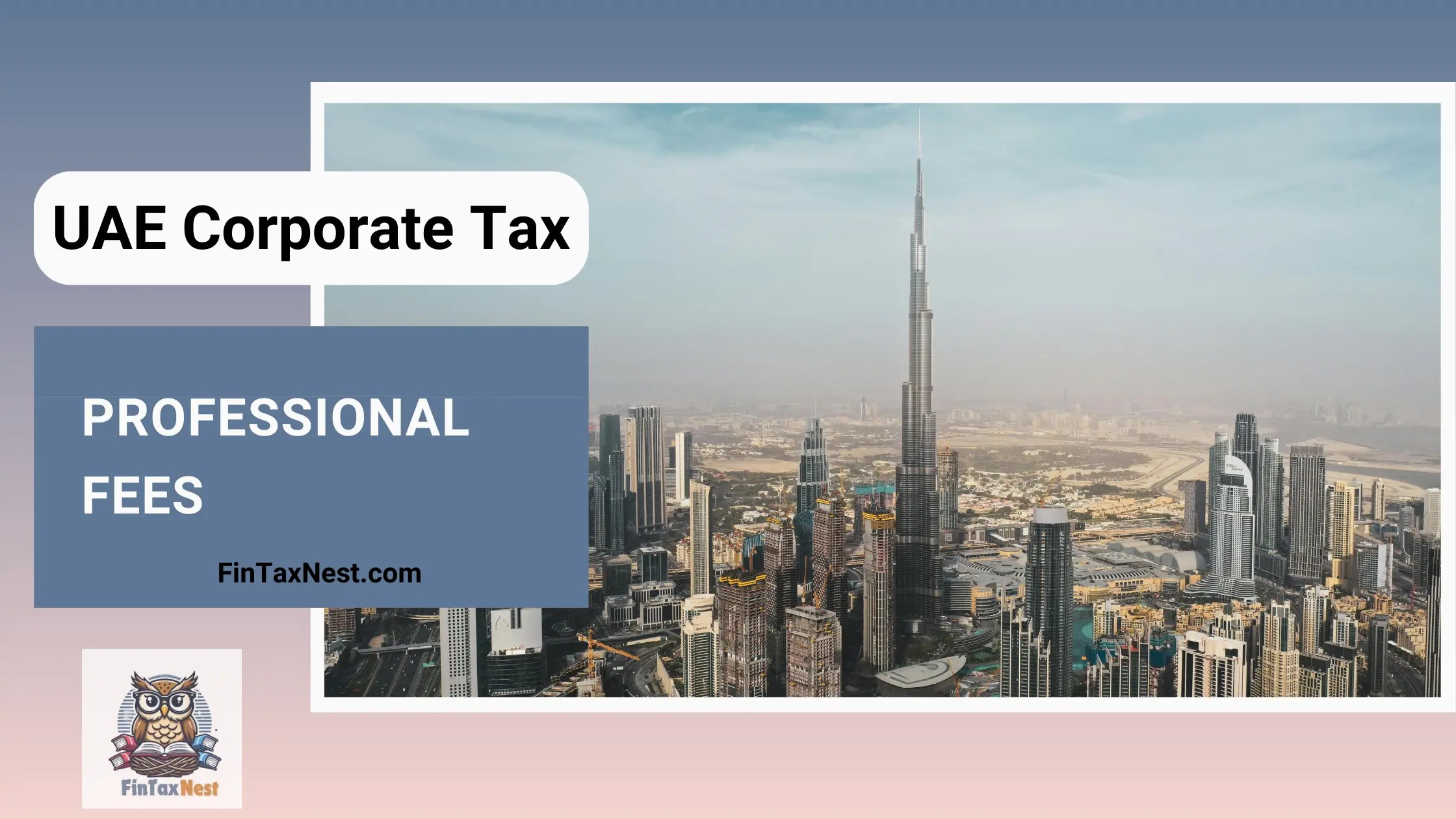 Professional Fees under UAE Corporate Tax