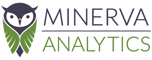 Minerva Analytics