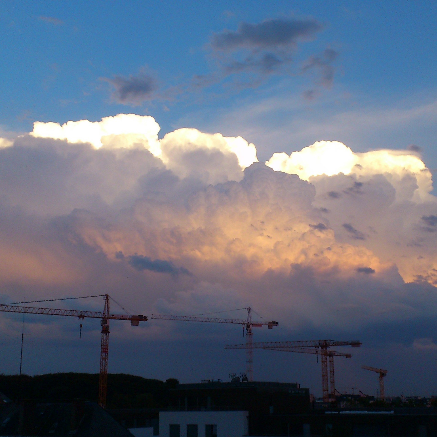 The slow seep of Joy// Fiona Lynne #oneword365