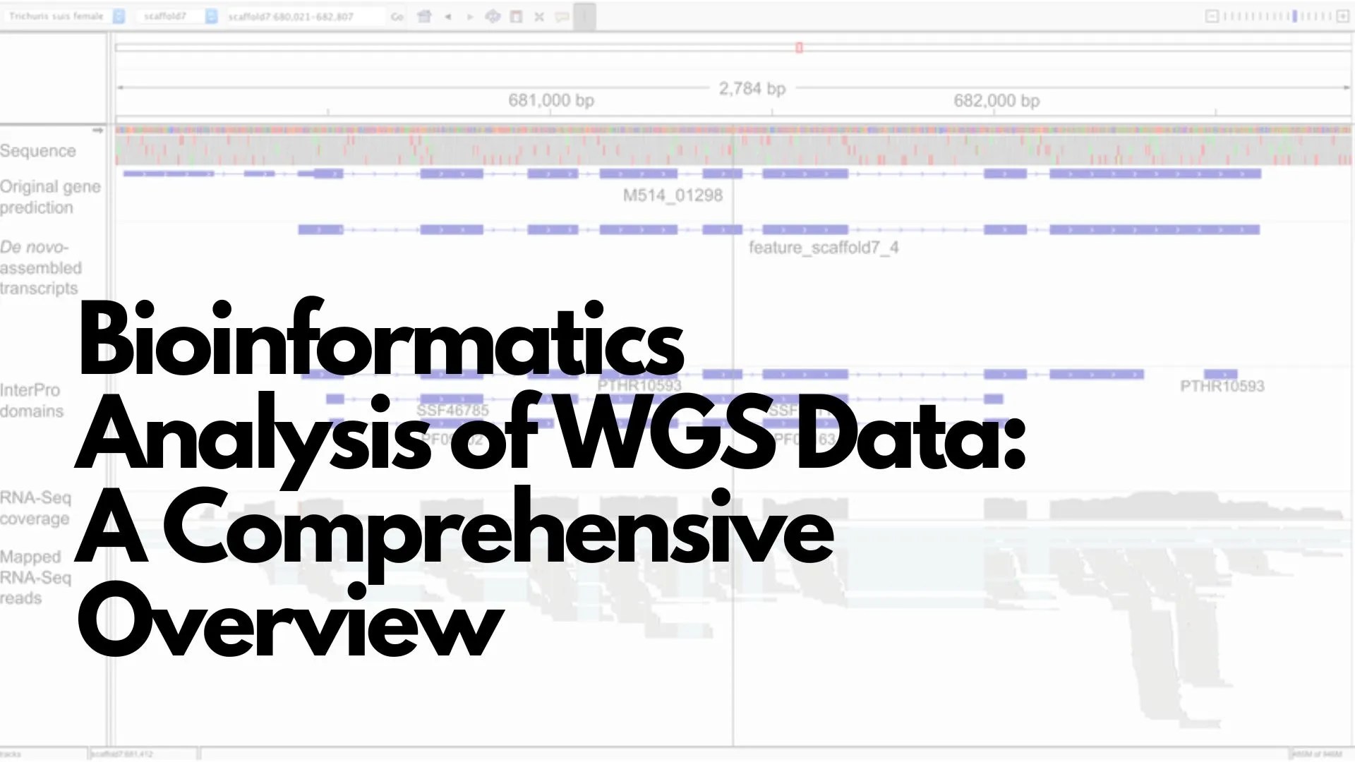 Bioinformatics Analysis of Whole Genome Sequencing Data