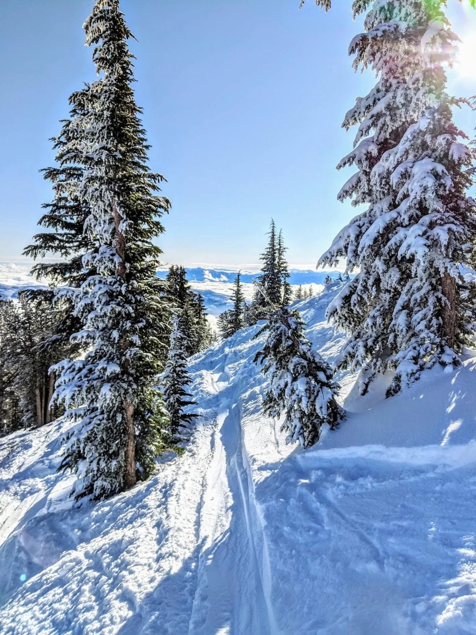 February Digital Marketing Strategy: While Others Slow Down, We Capture the Season