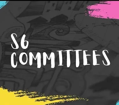 S6 Committees