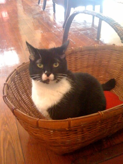 Della basket
