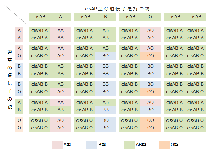 ボンベイ 型 ボンベイ血液型とo血液型の違い 類似用語の違いを比較 Nulaw