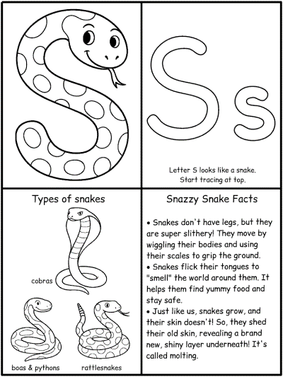 It includes coloring pages featuring alligators, turtles, lizards, and snakes. Snakes Coloring Pages And Printable Activities