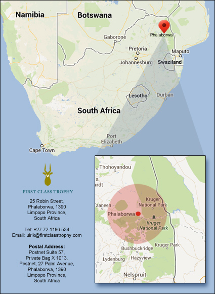 South Africa Taxidermist Partner In Trophy Mountsfirst Class