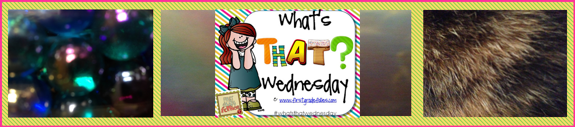 What’s That Wednesday?