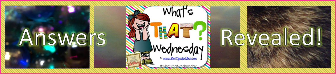 What’s That Wednesday (Answers Revealed!)
