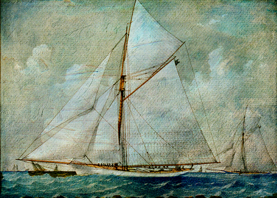 Sea Breeze © Sarah Vernon