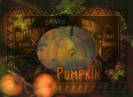 Artful Pumpkins © Sarah Vernon [Redbubble]