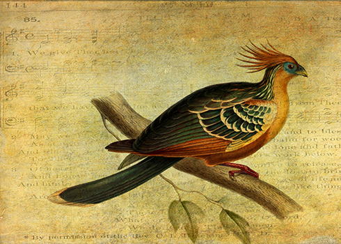 Whirring Pheasant Springs © Sarah Vernon