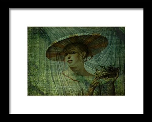 Buy a framed print of The New Look © Sarah Vernon at Fine Art England