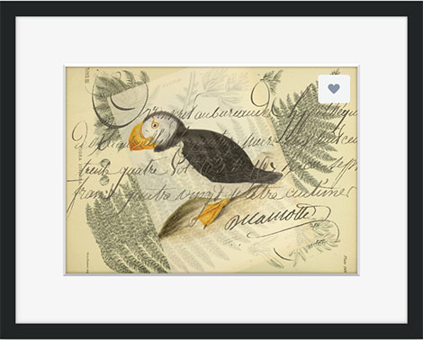 Clowns of the Sea © Sarah Vernon at Crated