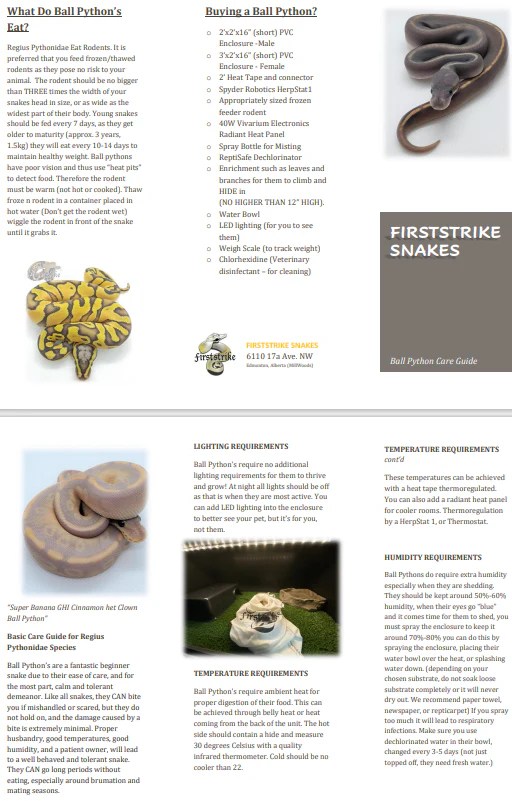 Ball Python Care Sheet Firststrike Snakes Feeders