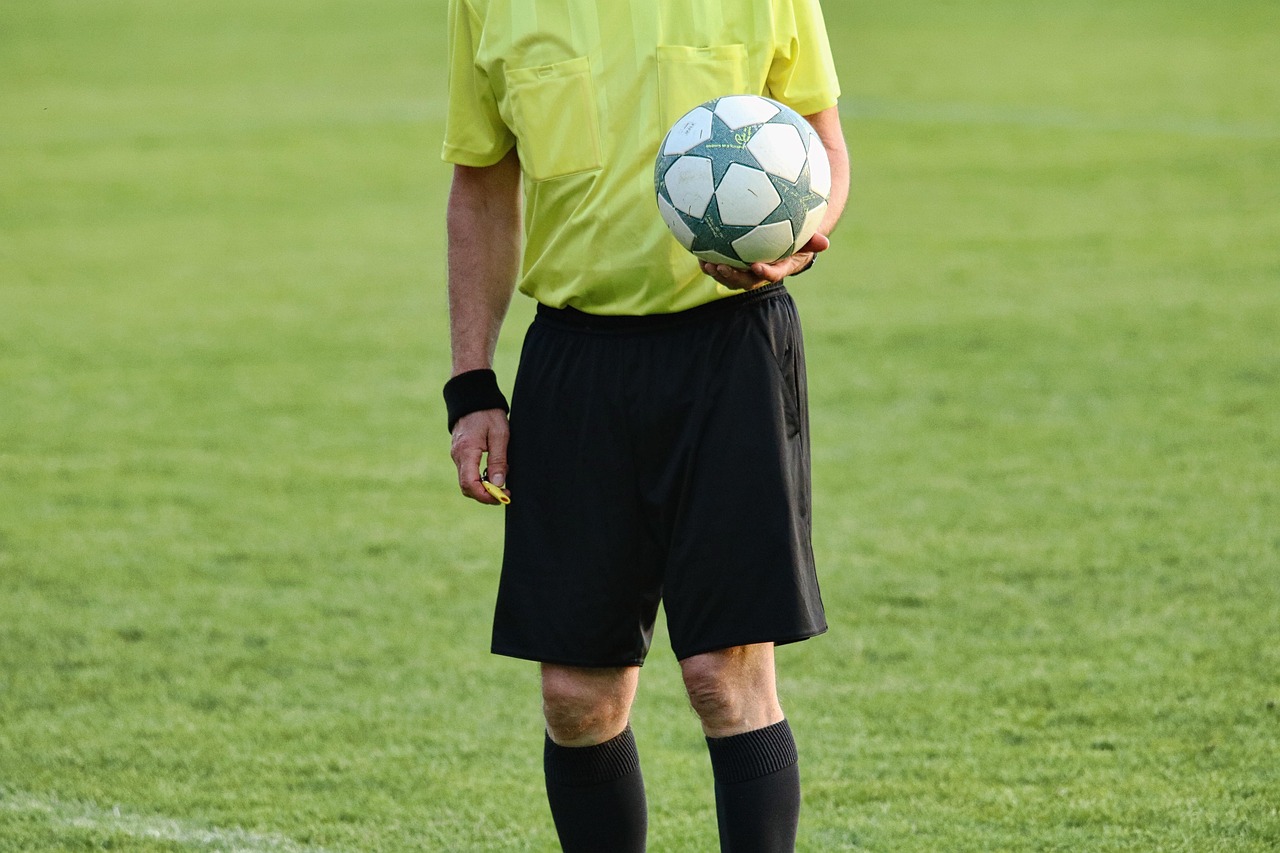 soccer referee with a ball