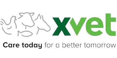 xvet