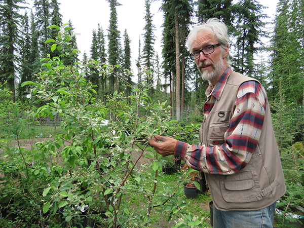 John Lenart with apple tree. From FirstWeEat.ca, the Food Security North of 60 website supporting First We Eat, a documentary by Yukon filmmaker Suzanne Crocker about eating only locally-grown foods in in Dawson City, Yukon, in Canada's North, for one year.