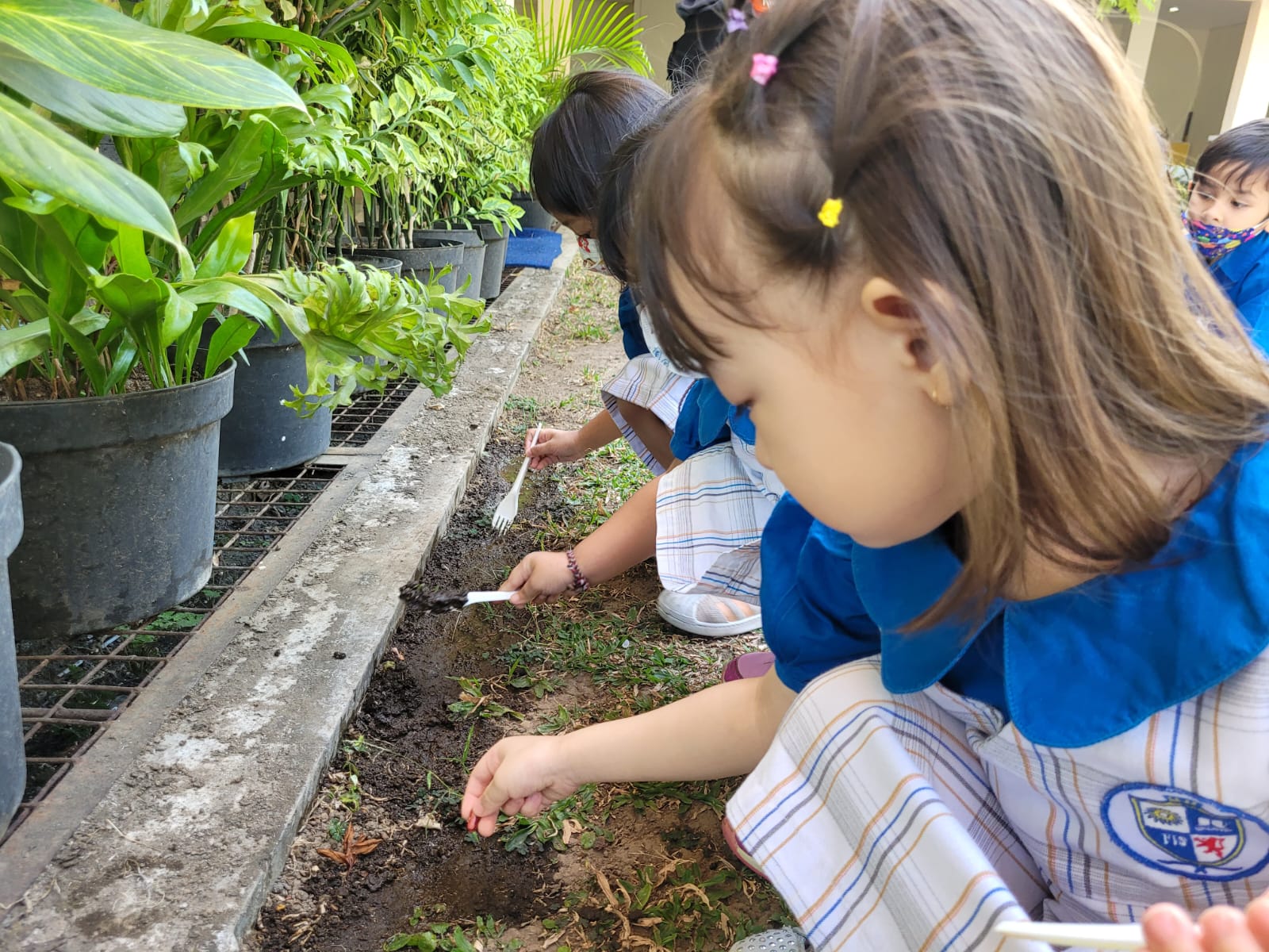 ​Nursery: Plant the seeds
