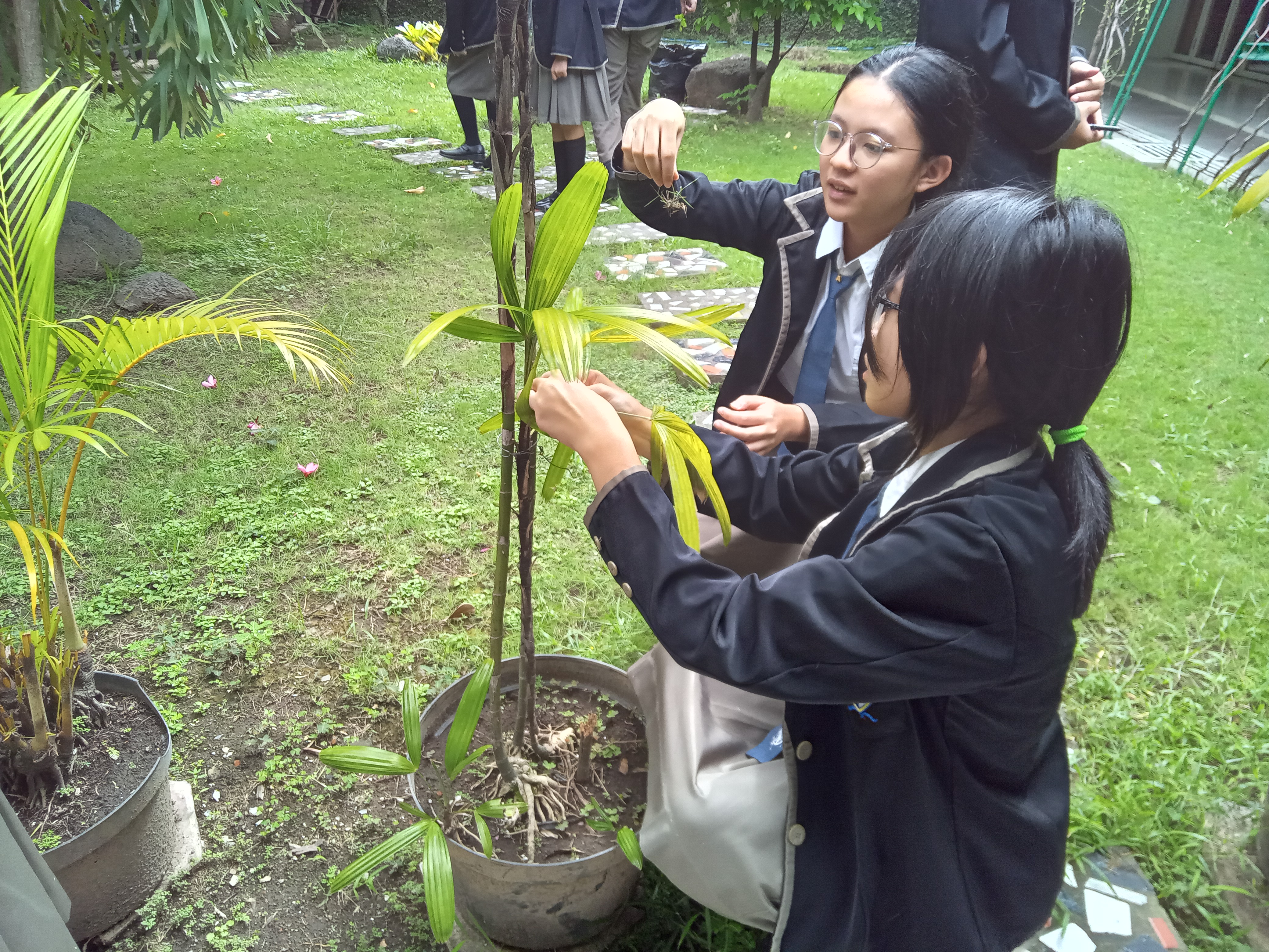 Secondary 1 – Biology: Plant’s Observation