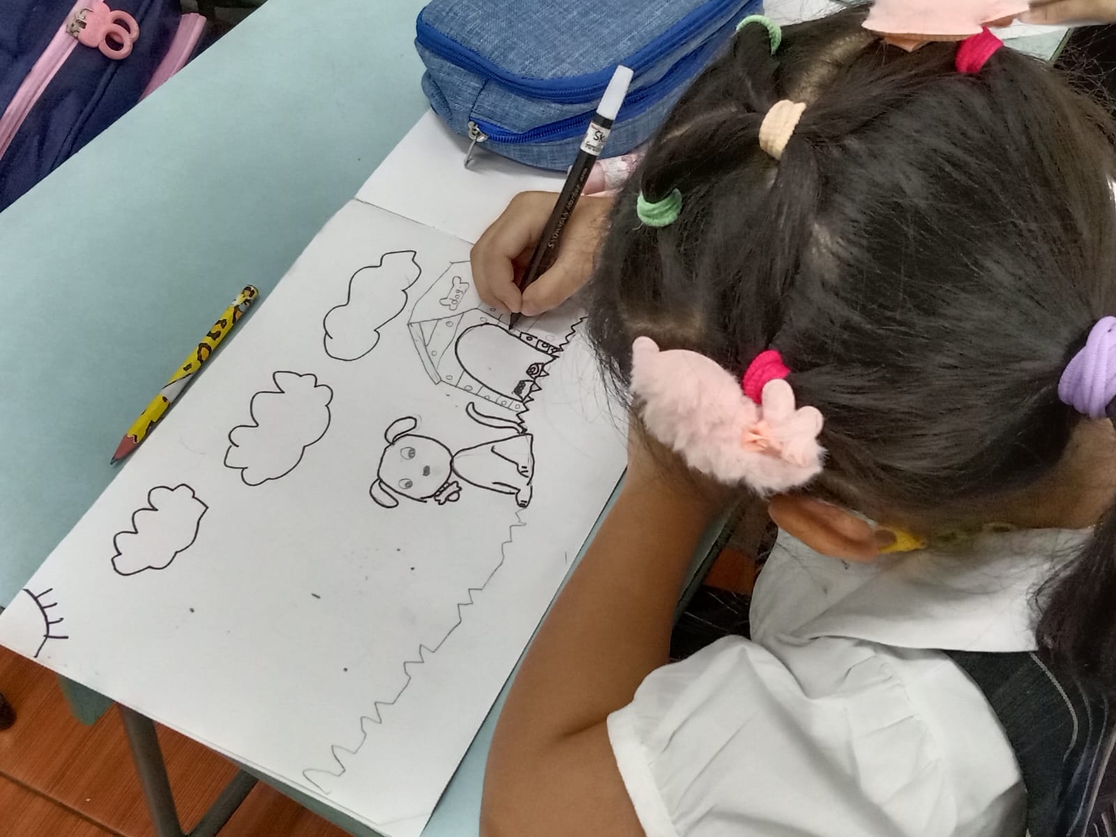 Primary 1 – VA: Animals on the Job