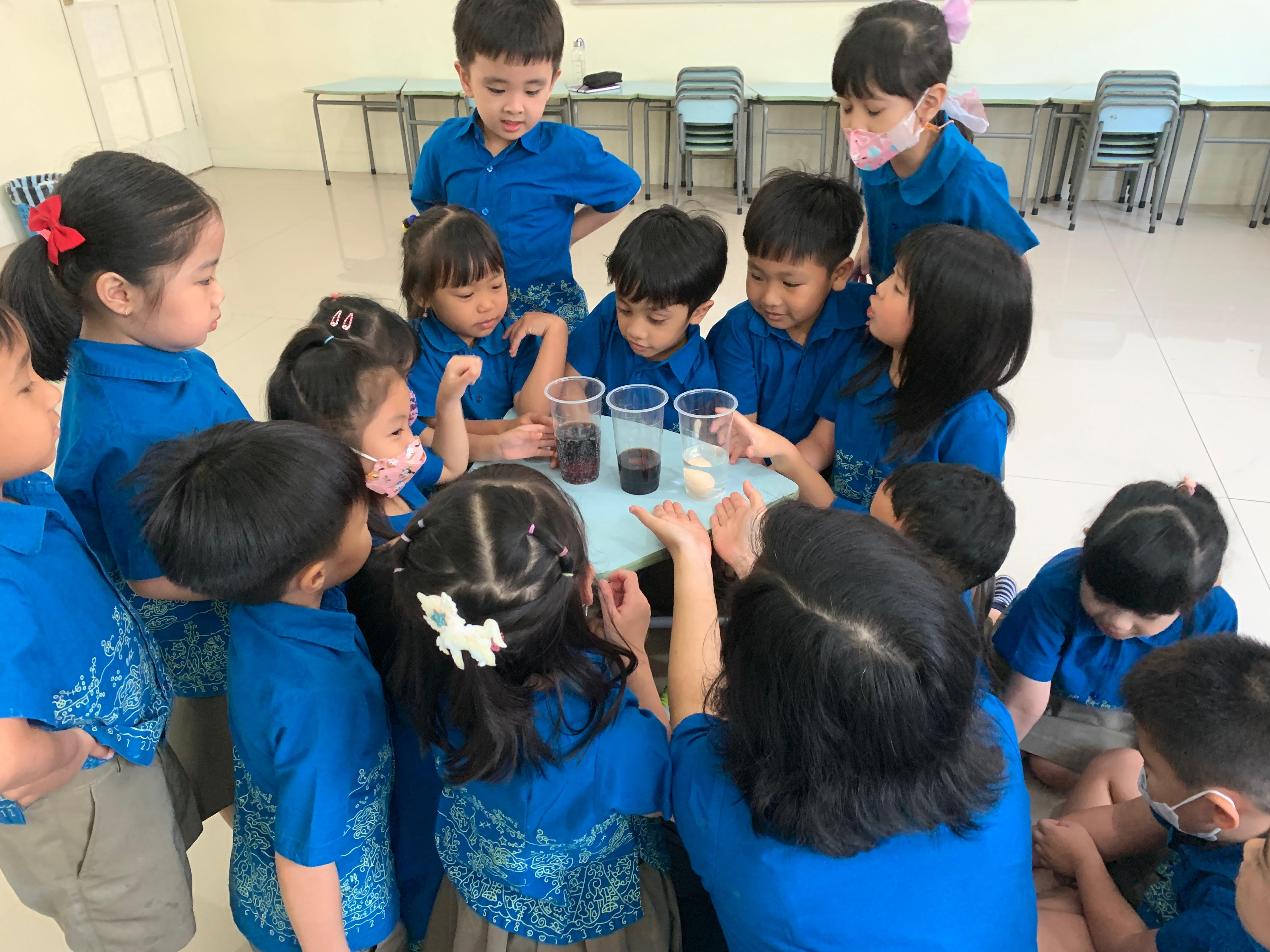 Early Year 2 – Science: How Sugar Effects Your Teeth